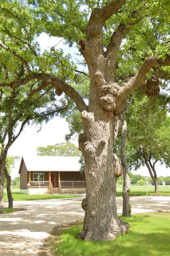 Vineyard Trail Cottages- Adults Only Fredericksburg Quarto foto